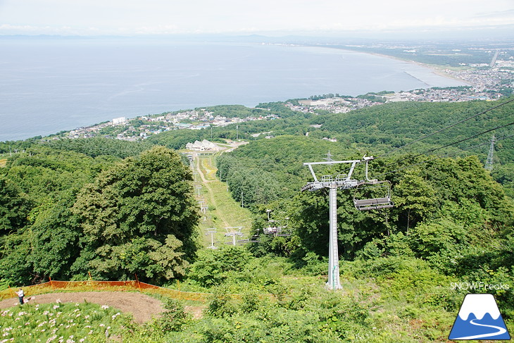 オーンズ春香山ゆり園 今年も綺麗な『ゆり』のシーズン到来♪